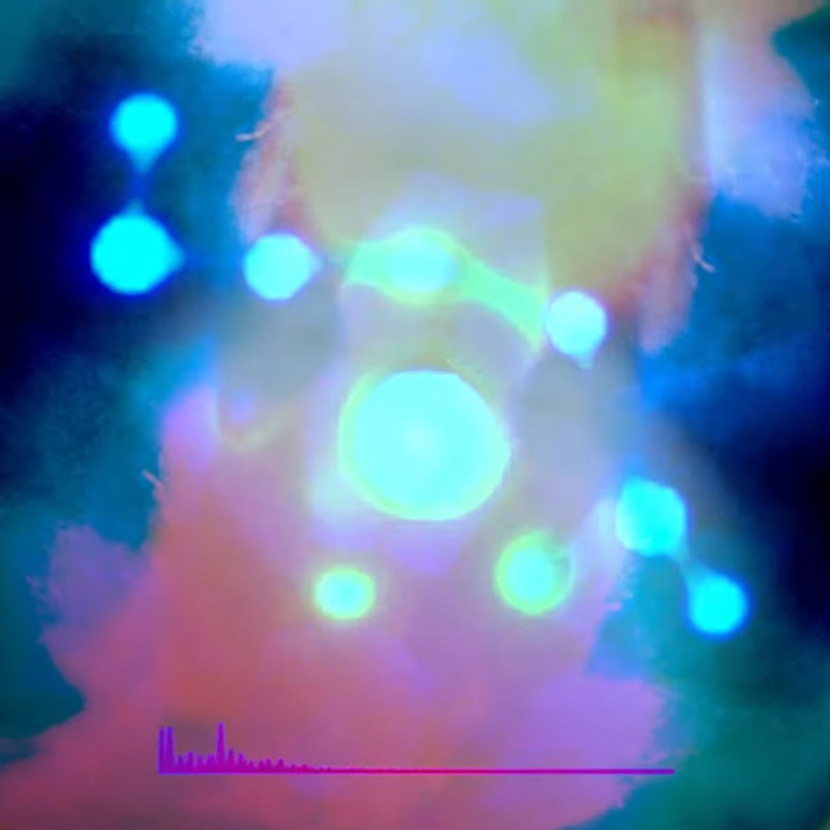 Project 2 Cover